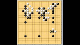 囲碁【8子局指導碁解説】