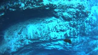 preview picture of video 'Enchanted river may 2014'