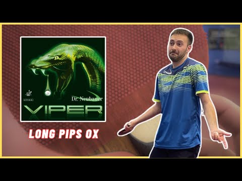 These LONG PIPS are GOOD at EVERYTHING 🐍 Dr Neubauer Viper ox