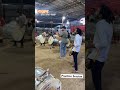 Naadbrahma Dholtashapathak Ganeshotsav2023