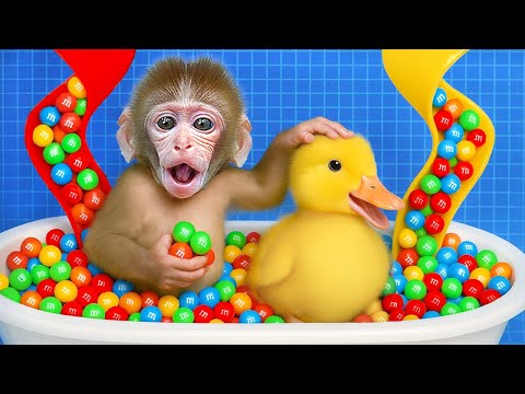 Macaco BuBu Na Banheira E É Surpreendido Por Chuva De Doces De Arco-Íris | BuBu Em Português