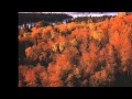 Forthcoming Fire - Velvet Little Lady 
