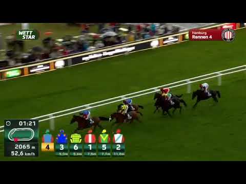 Niagaro - Rene Piechulek - Langer Hamburger