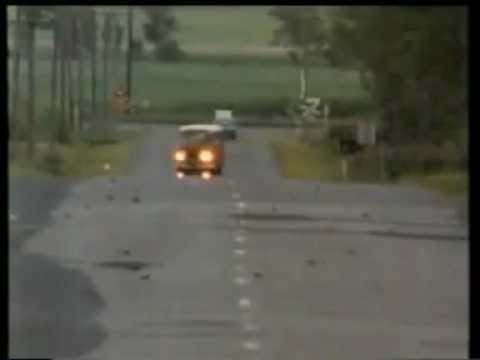 Brent Vincent - Toad Revenger