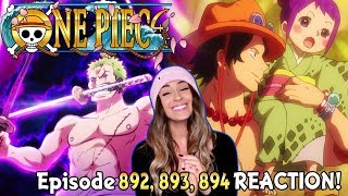 Download lagu ENTER WANO One Piece Episode 892 893 894 REACTION... mp3