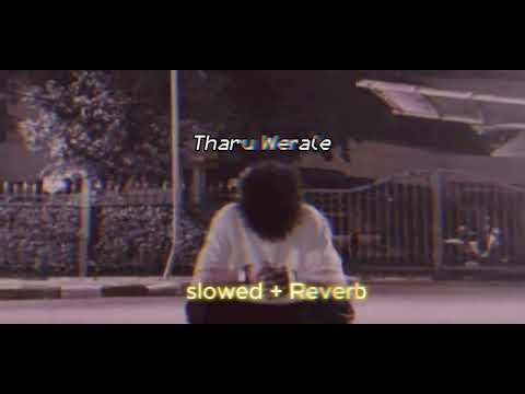 Tharu werale ( slowed + reverb )🔥Damith X Gayantha
