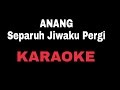 Karaoke Lagu Anang_Separuh Jiwaku Pergi No Vocal