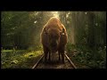 TVP Białystok Blok Reklamowy Z 20 Czerwca 2015 Roku