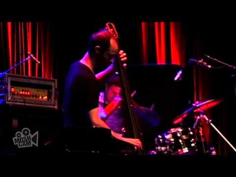 The Cinematic Orchestra - Man With A Movie Camera | Live in Sydney | Moshcam