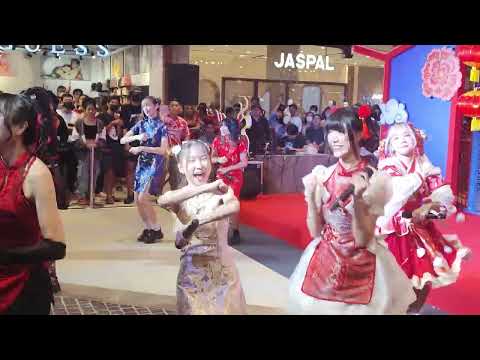 240211 Castella - Nekokaburi Nikushokukeijoshi @ Chinese New Year 2024 - Terminal 21 Rama 3