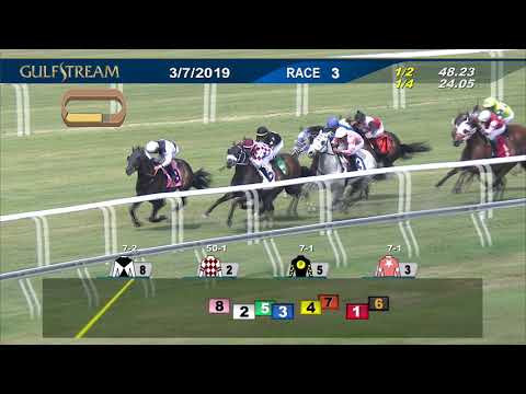 Gulfstream Park March 7, 2019 Race 3