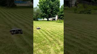 Mammotion luba 2 AWD 5000HX 🔥#mammotion #luba2 #lawnmower #ai