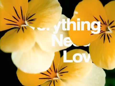 Everything Needs Love feat. BoA