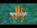 Groundation - Prophets & Profit [Official Lyrics Video]