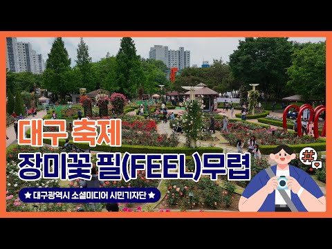 대구 5월 축제 🌹장미꽃 필(Feel)무렵