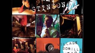 Tommy Stinson - Without a View