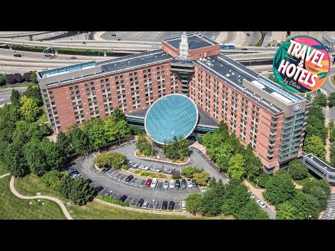 Hilton Boston Logan Airport Hotel | Boston (MA), United States | Hotel Review 🌟