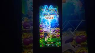 JNGLE DELIGHT] Slot!Feeling lucky today!Think you can beat this?#BigWin #YN777 #Slots