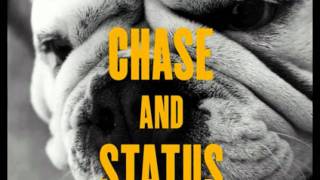 Flashing Lights-Chase &amp; Status