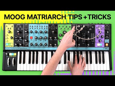 Moog Matriarch Hot Tips and Tricks for Synthesizing Sounds