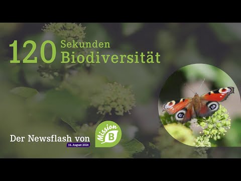 120 Sekunden Biodiversität: Der Newsflash von Mission B, 16. August 2024