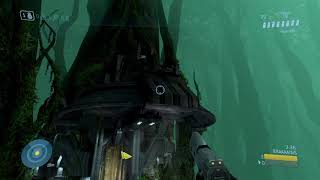 Halo MCC PC - Halo 3 - Tree Rot Infection Hiding Spot