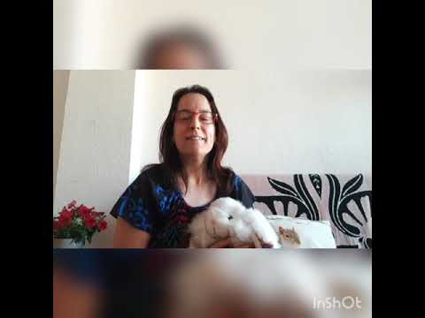 ÉS HORA DE TORNAR A CASA CONILLET