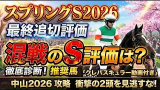 【スプリングS2026】大混戦を断つS評価を徹底診断！最終追い切り【クレパスキュラー動画付き】栗田先生も突き飛ばす暴ん坊！ルメール騎手は負傷する！