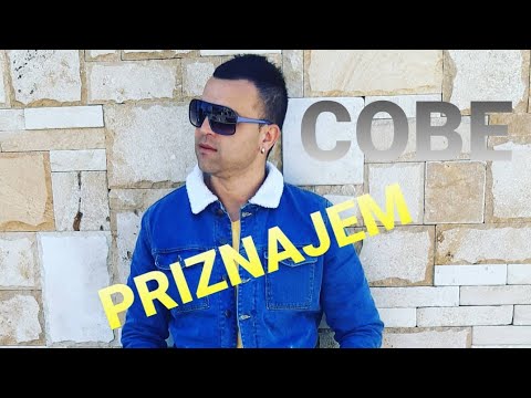 COBE BATJAREVIC-PRIZNAJEM DA SAM KRIV