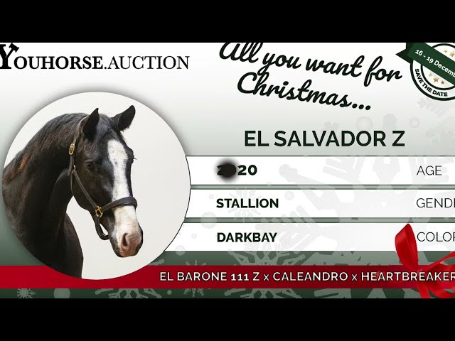 Youhorse.auction | El Salvador Z