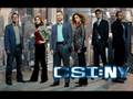 The who - Baba O'Riley CSI NY Intro (Opening ...