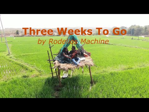 THREE WEEKS TO GO|RODELLOS MACHINE