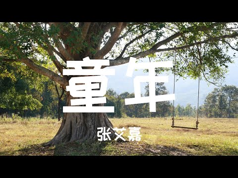 〖原唱〗张艾嘉《童年》Sylvia Chang - Childhood