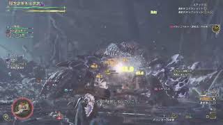 [モンハンワイルズPS5 参加型]朝活！！初心者、玄人、初見さん誰でも参加ok!!