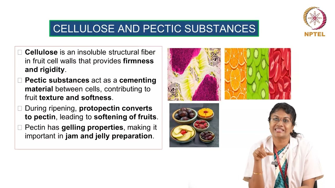 Fruits and Vegetables