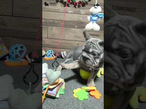 Video 1