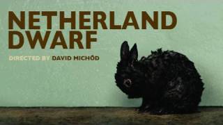 Netherland Dwarf