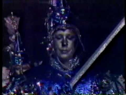 1985 Fancy Dans Fancy Brigade "Ice Odyssey" - 9th Place