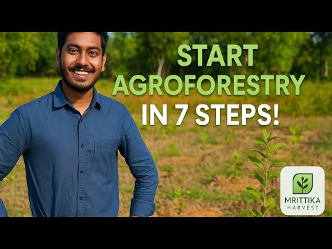 Agroforestry | Step-by-Step Guide from Mrittika Harvest 🌳🌾