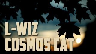 L-Wiz - Cosmos Cat