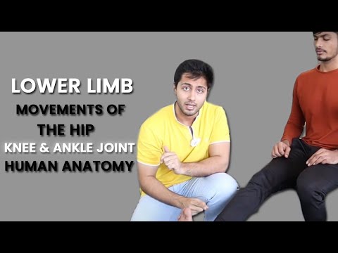 Lower Limb: Movements of the Hip, Knee and Ankle Joint | Human Anatomy | FGIIT