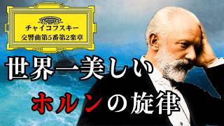 Download lagu 【また泣いてしまった】クラシック史上もっとも美しいホルンの歌が、なぜこんなに切ないのか。 mp3