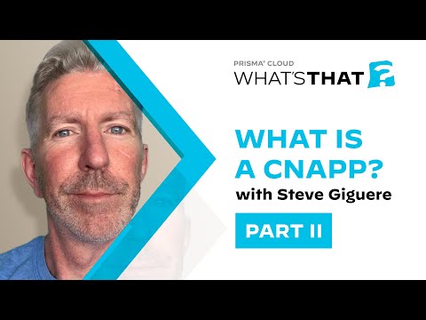 What Is a Cloud-Native Application Protection Platform (Cnapp)? How CNAPPs Secure the Cloud