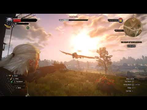 How to kill GRIFFIN, the witcher 3 wild hunt
