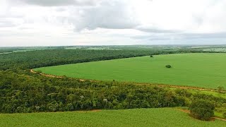 Desmatamento cresceu 22,3% em 2022, mas governo federal quer zerar índice em 2030