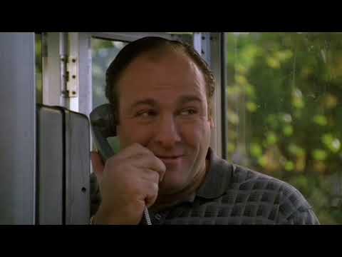 The Sopranos: Was that Fabian Petrulio?