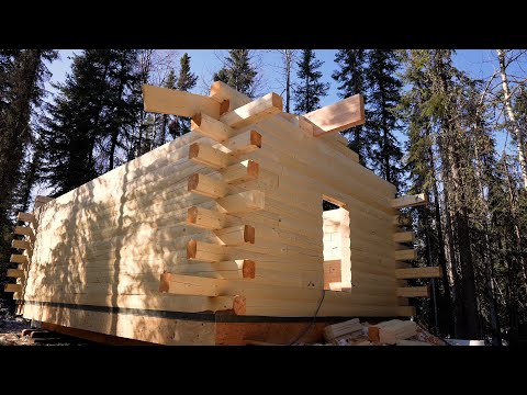 HOW TO BUILD an ALASKAN Log Cabin - Ep 4