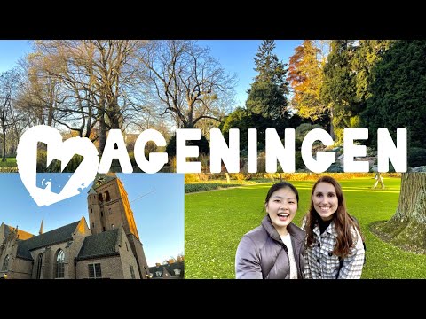 The sun is out! I will take you around Wageningen! - The reasons why I love this little town