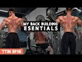My TOP Back Building Tips | IFBB Pro Back Session | TTIN Ep 18