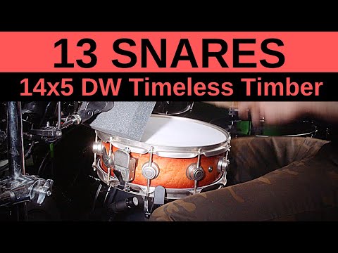 14x5 Timeless Timber Snare Drum (Processed + Raw Comparison)